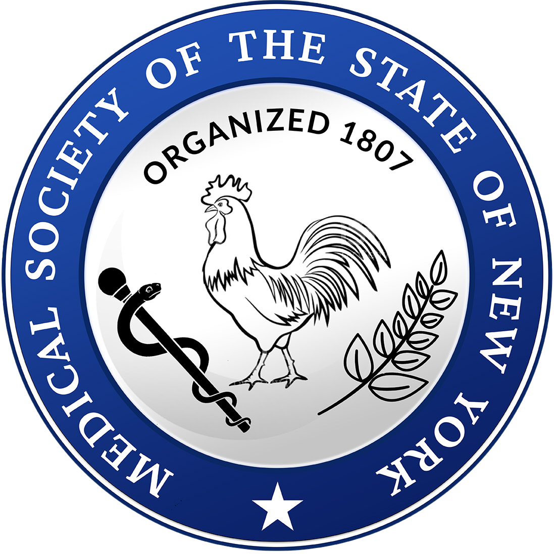 MSSNY Logo.png logo